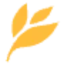 sanitarium.com.au favicon