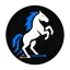 stalliontek.com favicon