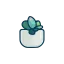 succulentsaddiction.com favicon