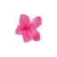 vivaigigli.it favicon