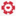 miraclewear-shop.com favicon