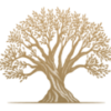 olivodorato.de favicon