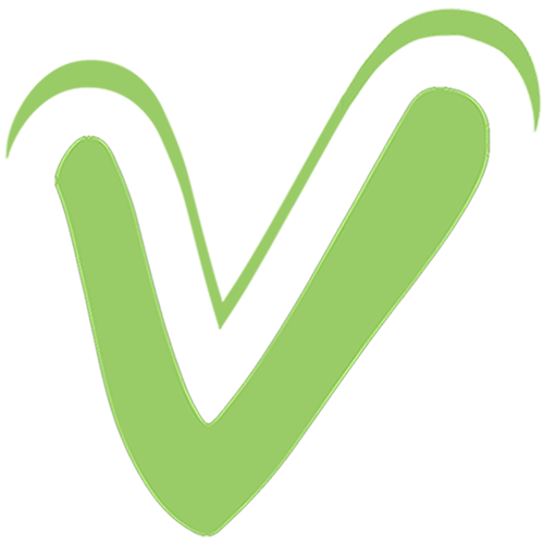 shop.vishes.de favicon