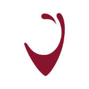 vinfolio.com favicon