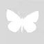 norbord.design favicon