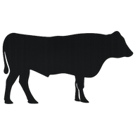 wagyuclub.com favicon
