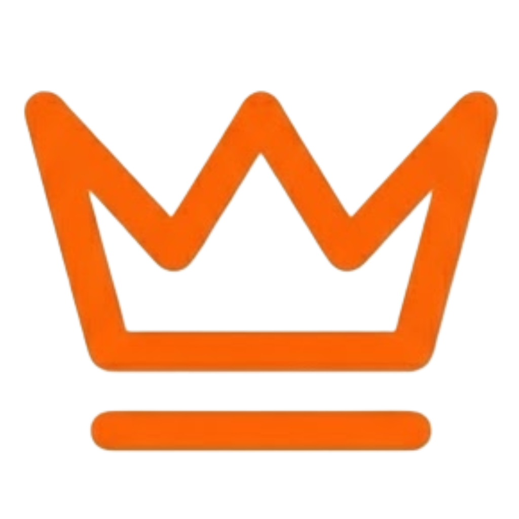 websitekoning.com favicon