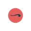 catchswim.com favicon