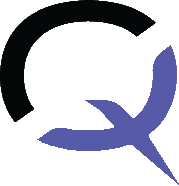 iqonic.vip favicon
