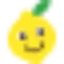 lemon.fr favicon