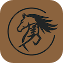 pfernando.style favicon