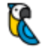 codingmacaw.com favicon
