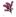 dilsk.co.uk favicon