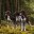 duitse-staande.com favicon