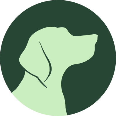raising.dog favicon