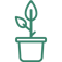 root-houseplants.com favicon