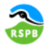 rspb.org.uk favicon