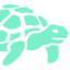 tortoisestorage.com favicon