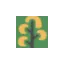 vyrmanto-riesutmedziai.lt favicon