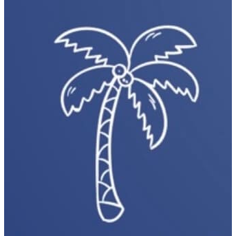 305-drive.com favicon