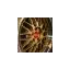 dackpeter.se favicon