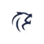 coacholand.com favicon