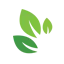orientalrugcleaningjupiter.net favicon