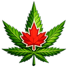 canadianseedbank.ca favicon