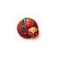 claudebernardwatches.co.uk favicon