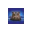hippoproducts.co.uk favicon