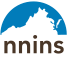 nnins.com favicon