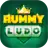 rummyludo.com favicon