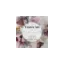 vesterart.dk favicon
