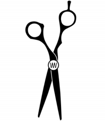 wilsonvasquez.nl favicon