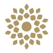 travelsmartvip.com favicon