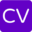 cvwinner.com favicon