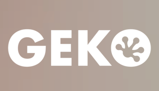 geko-praxis.de favicon