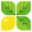 lemoneyah.com favicon