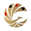 phoenixcasino.in favicon