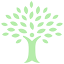 pistachiokitchens.com favicon