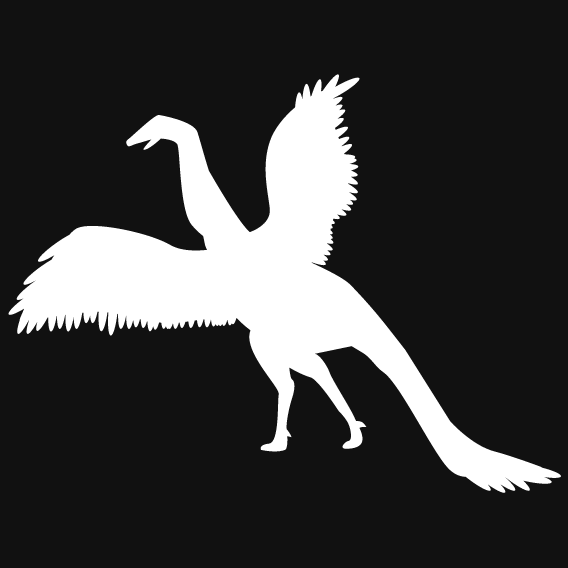 anurvogel.com favicon