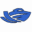 boatrentaldubai.com favicon