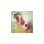 stylizeart.dk favicon