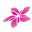 airraro.com favicon