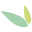 bamboebelgie.be favicon