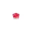 coppelmansnl.com favicon
