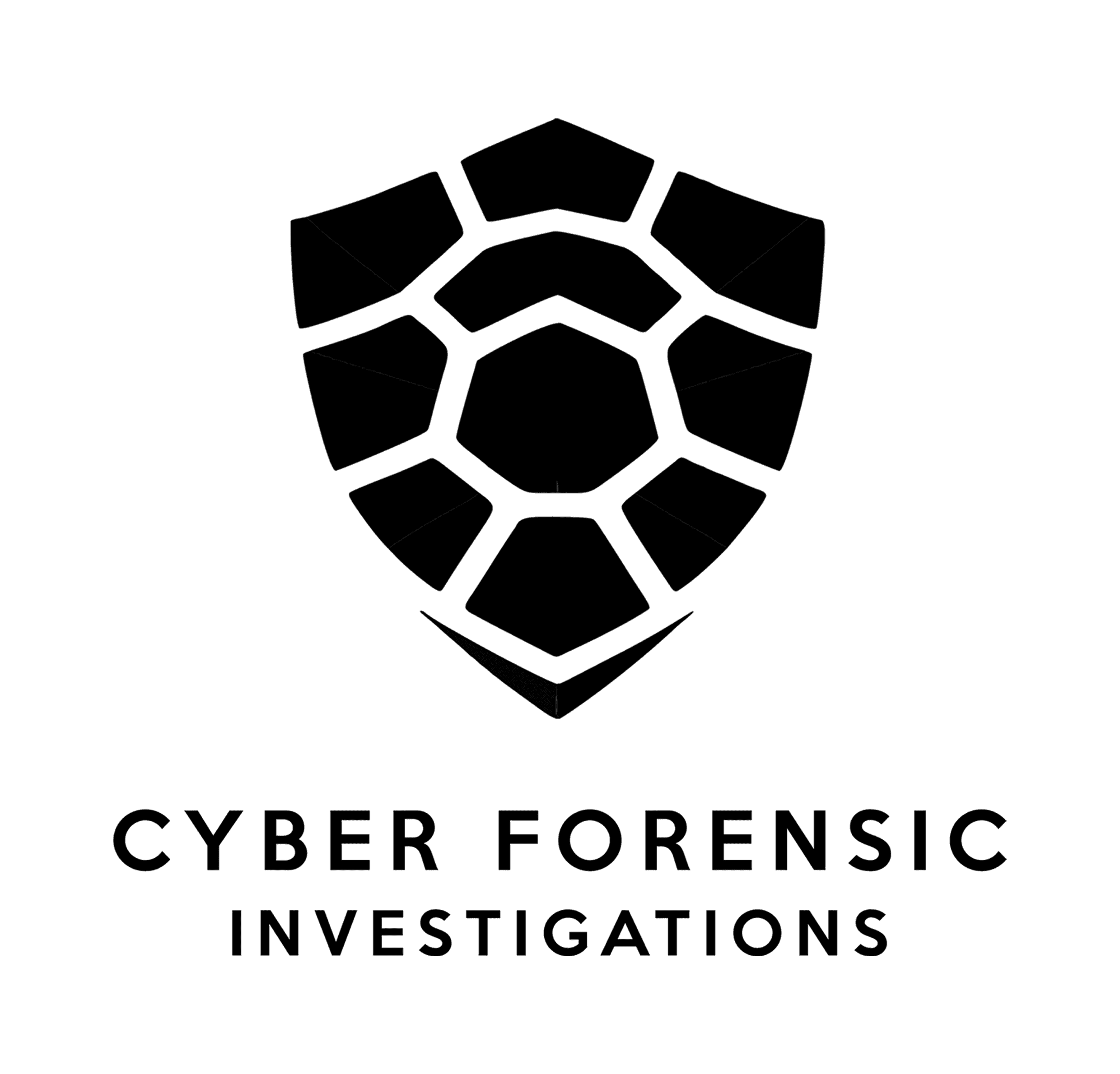 cybercfi.com favicon