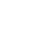 simplyfitcph.dk favicon