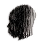 stephenwiltshire.co.uk favicon