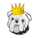 storagekingusa.com favicon